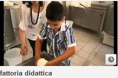 fattoria didattica1